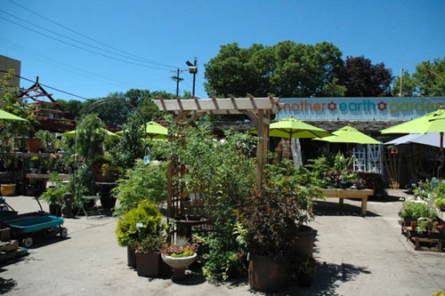 Mother Earth Gardens