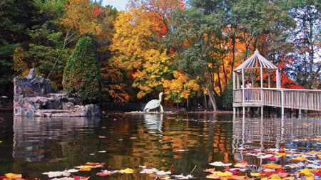 Irvine Pond