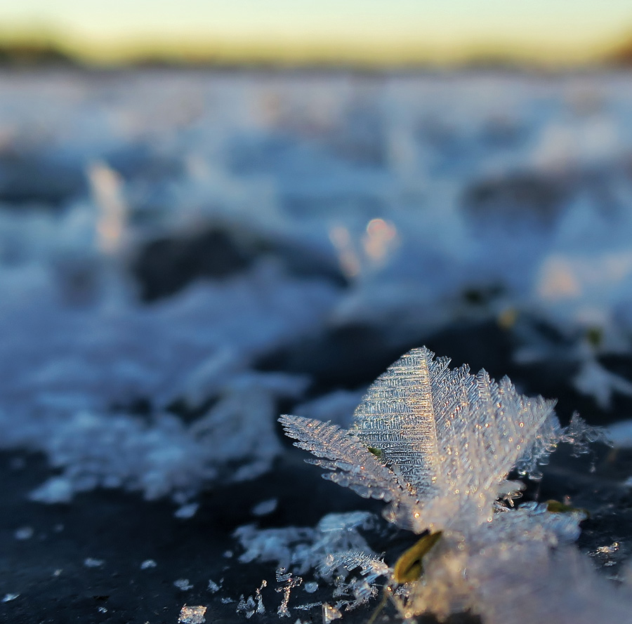 This Winter Village In Minnesota Is Breathtaking