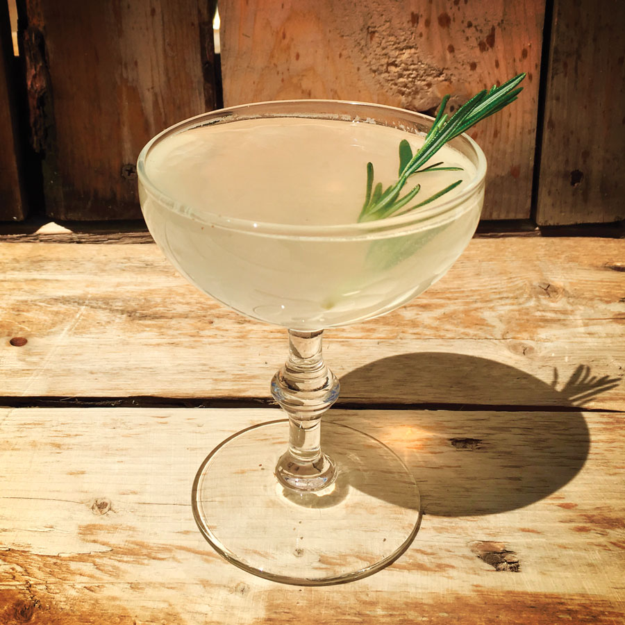 rosemary fitzgerald, drink of the month