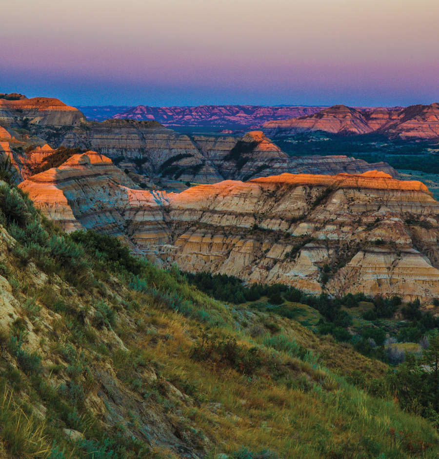 theodore roosevelt national park