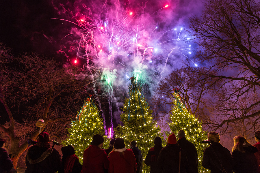 An explosion of fireworks above some decorated evergreens at the Holidazzle.