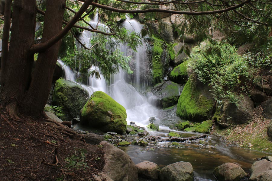 A waterfall at the Minnesota Landscape Arboretum.