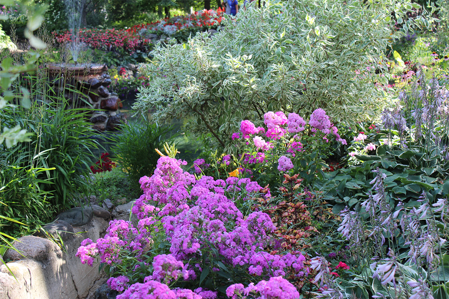 A collection of colorful flowers and a water fountain at Munsinger Gardens in St. Cloud, Minnesota.