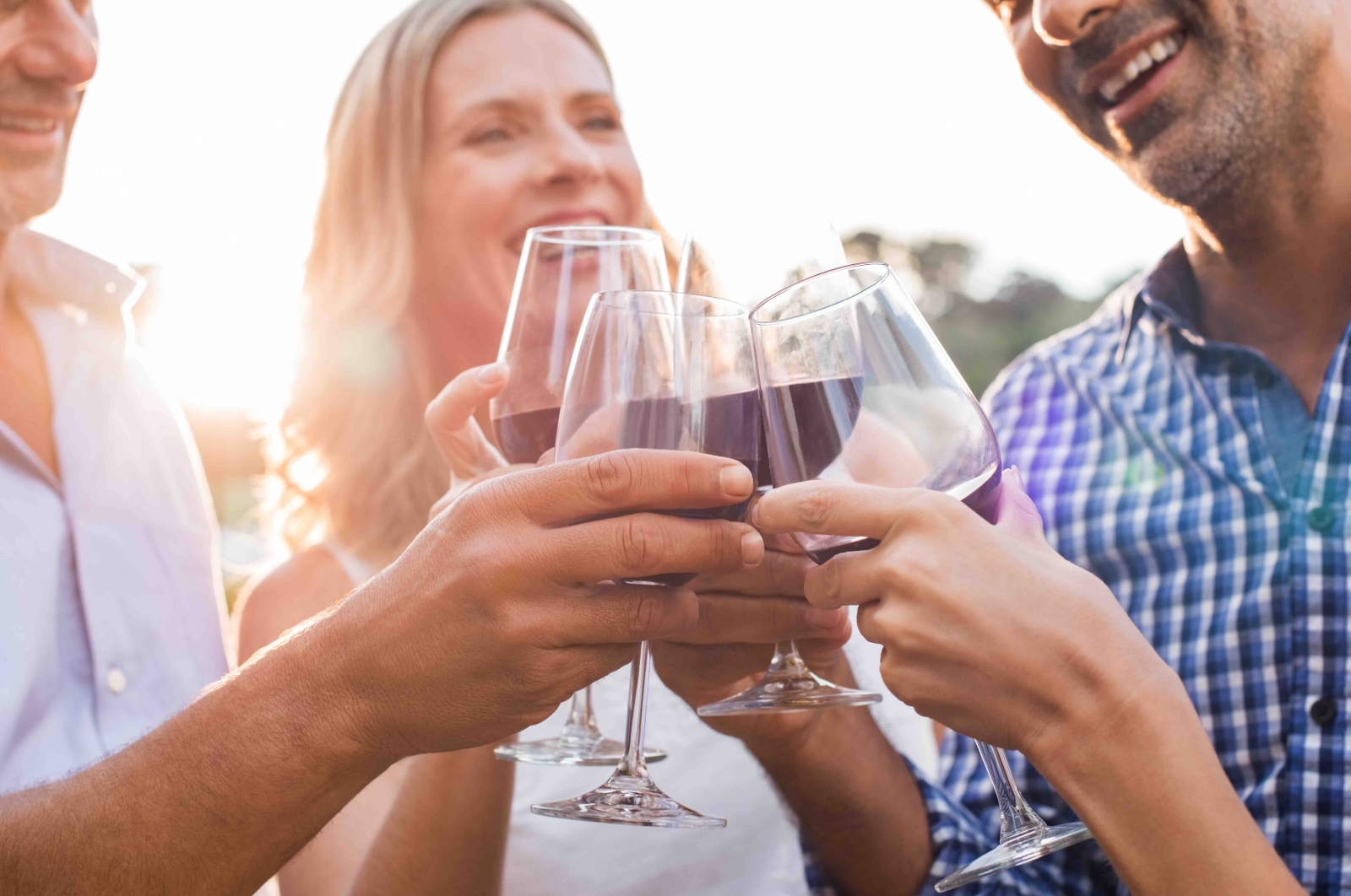 Courtesy Rido/Fotolia. Friends toasting with red wine at a winery.