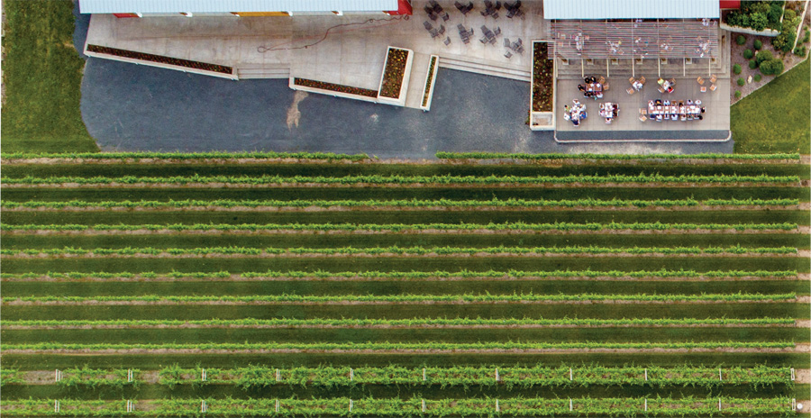 An aerial view of the vineyards at Four Daughters Vineyard & Winery.