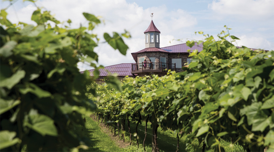 A picture of the vineyard and tasting room at Winehaven Winery.