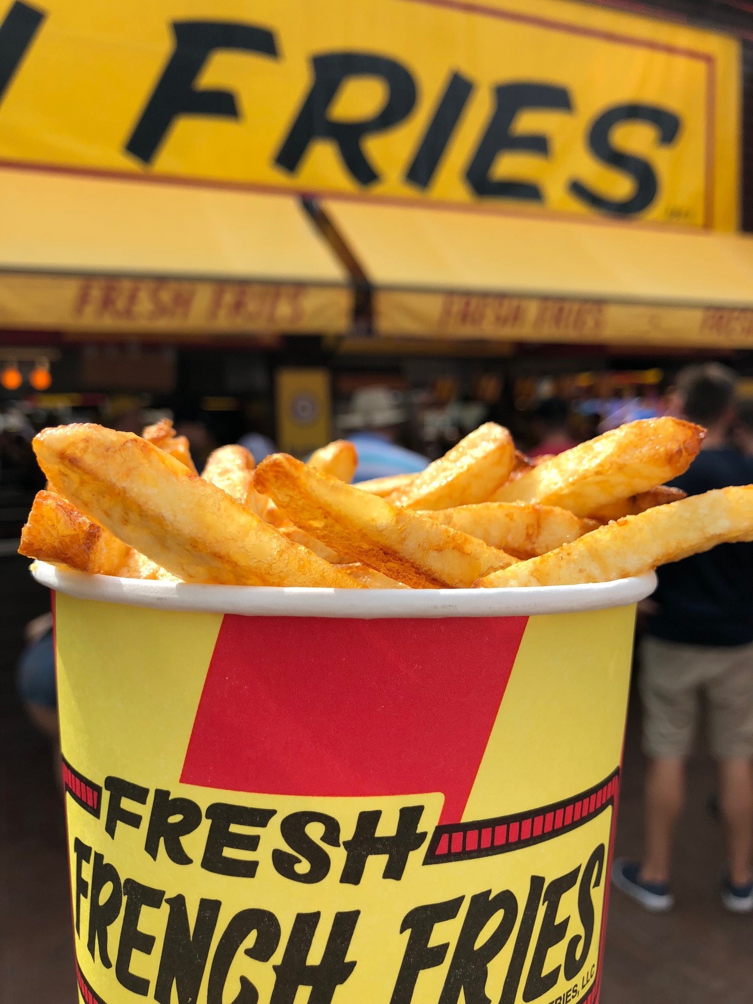 State Fair Fresh Cut French Fries - Peyton's Momma™