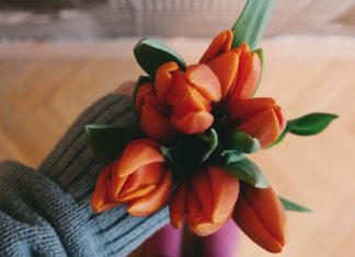 Someone in a blue sweater holding a vibrant bunch of orange tulips. https://unsplash.com/photos/5sSEUSZStvg