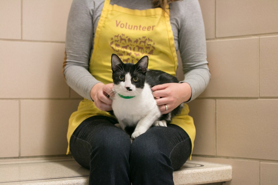 Photo of Animal Humane Society