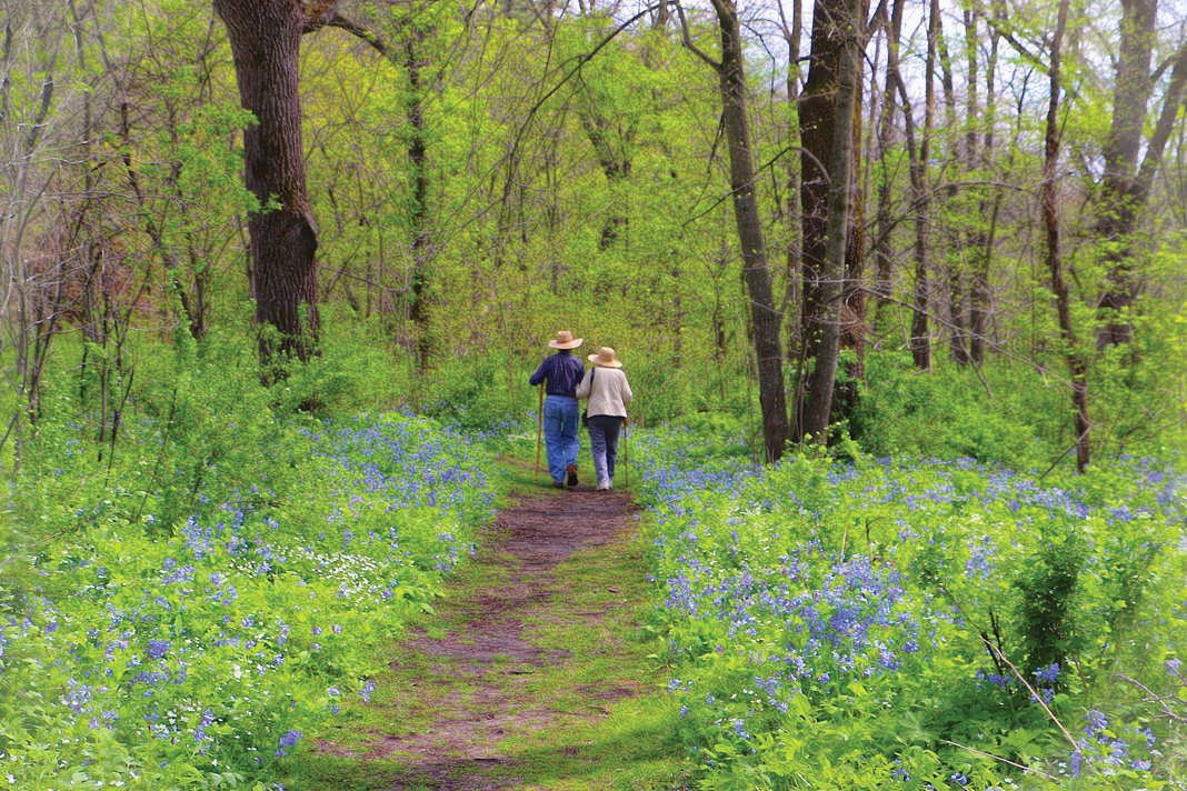 wild leek picking pa state park