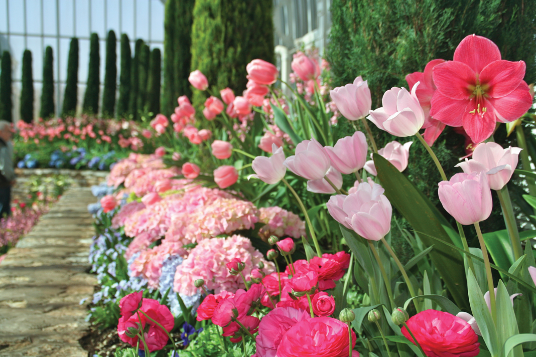 Pink flowers line the edge of the Sunken Garden at the Majorie McNeely Conservatory