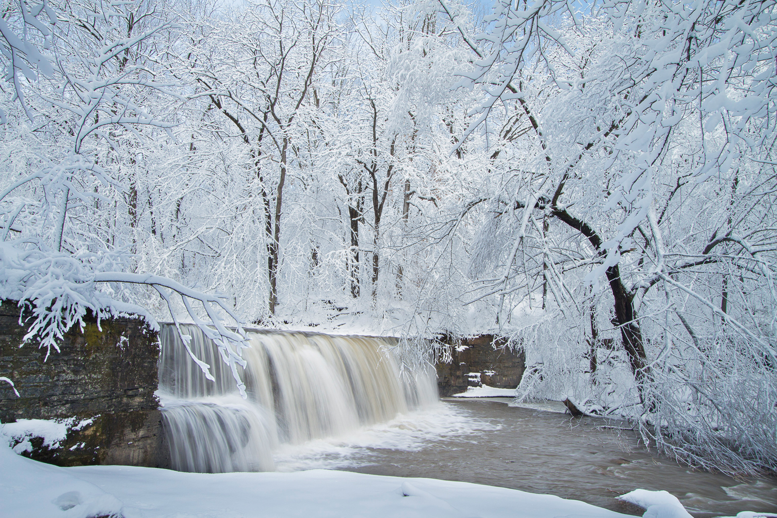 Nerstrand Big Woods State Park