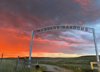 The entrance to the Wolakota Buffalo Range property, sign reads "Mustang Meadows"