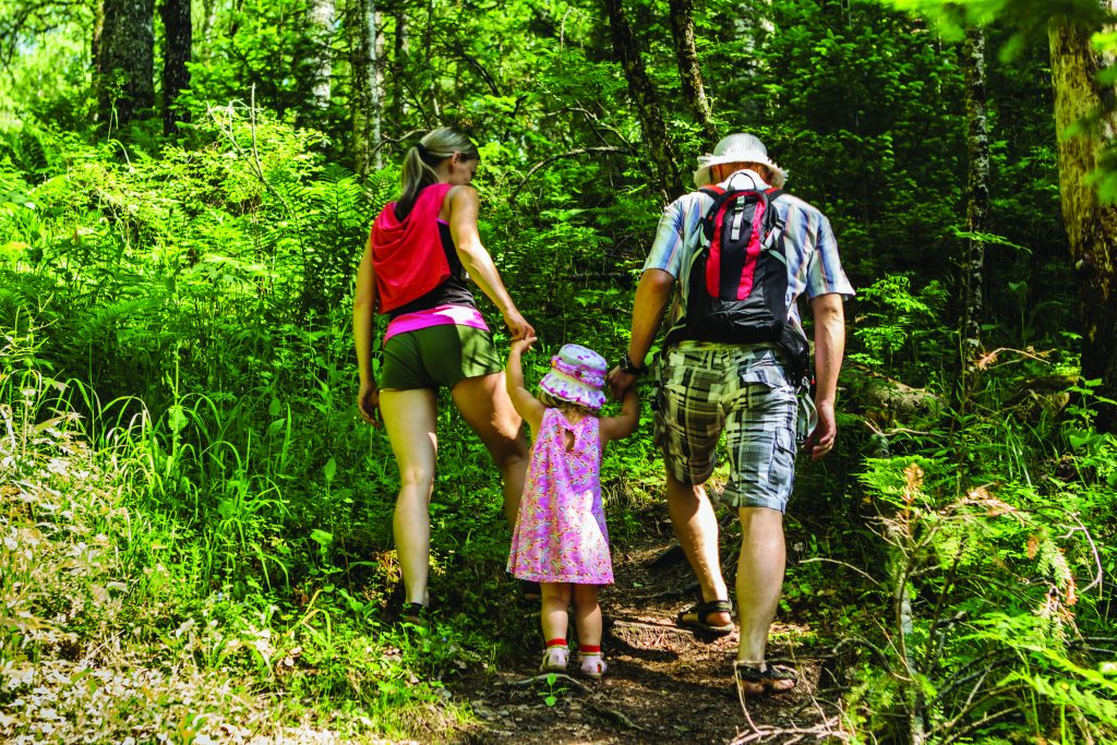 A family of three walking on a forest trail