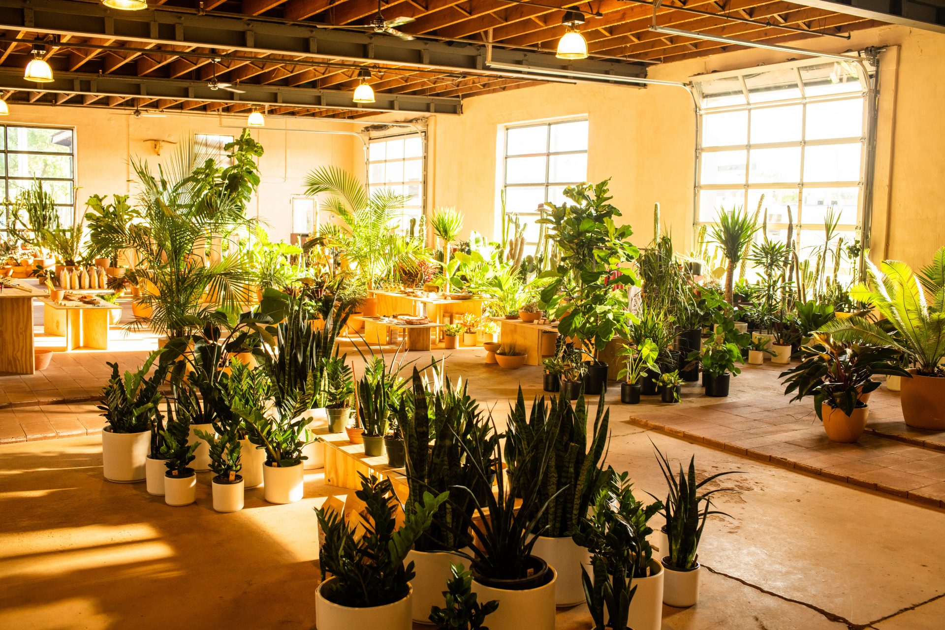 Here We Grow Again 7 Cool Twin Cities Plant Shops