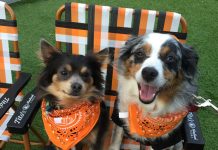 Two Dogs in a Chair - Tito's Vodka