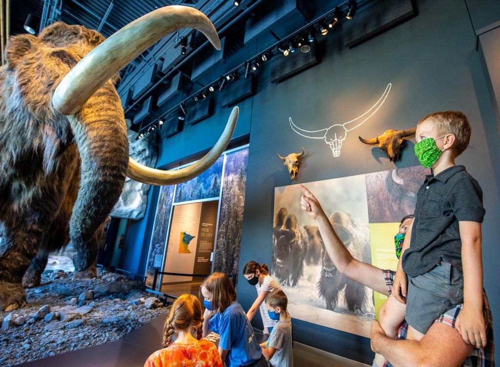 Bell Museum guests visit the Woolly Mammoth