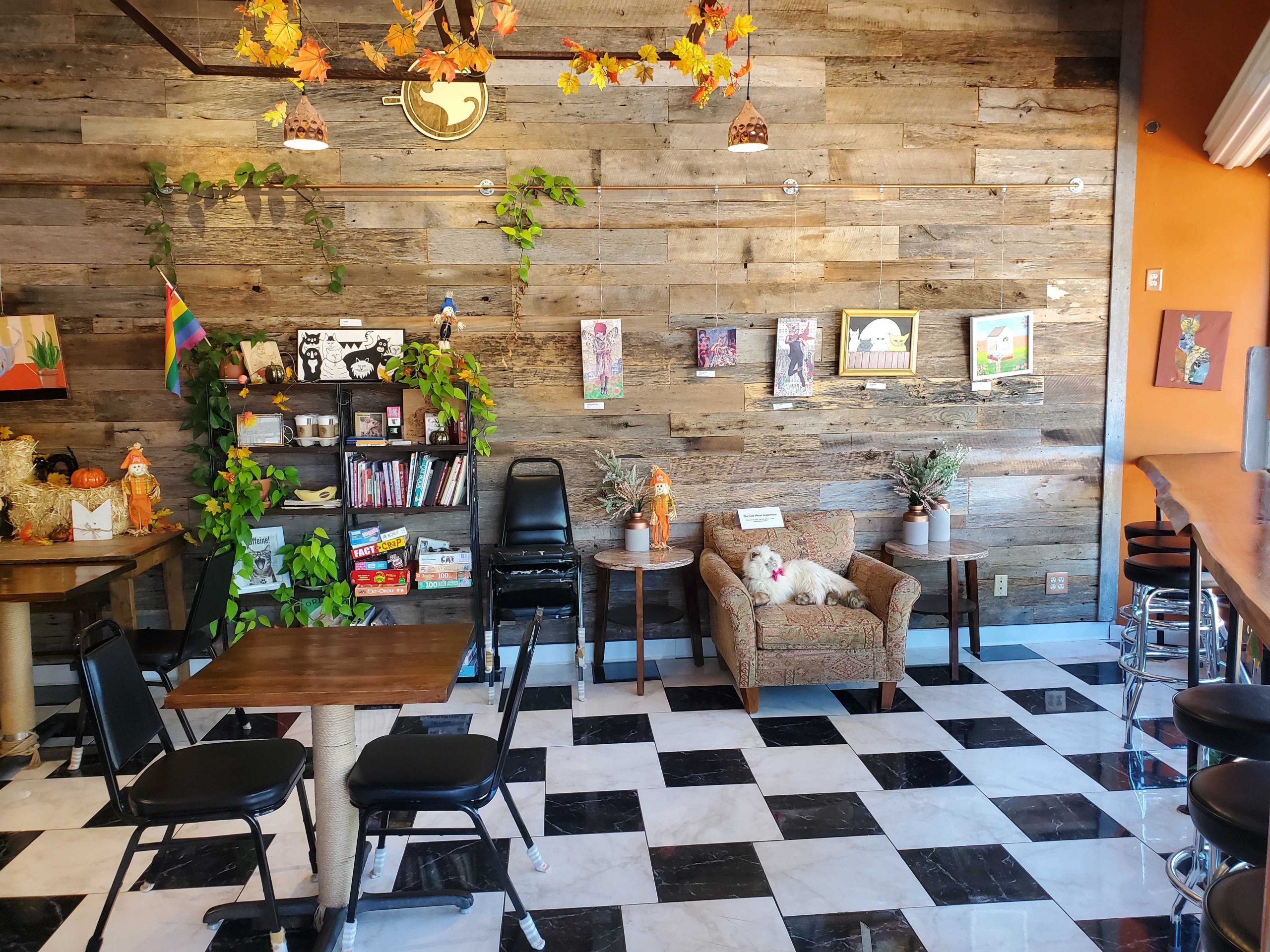 The Coolest Coffee Shops in the U.S.