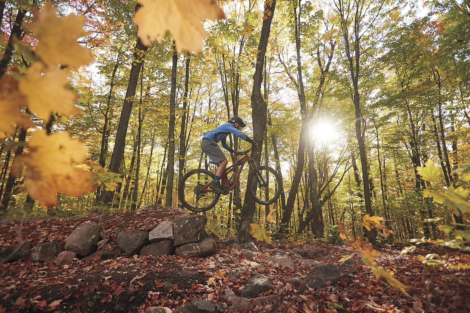 Theodore wirth discount mountain bike trails