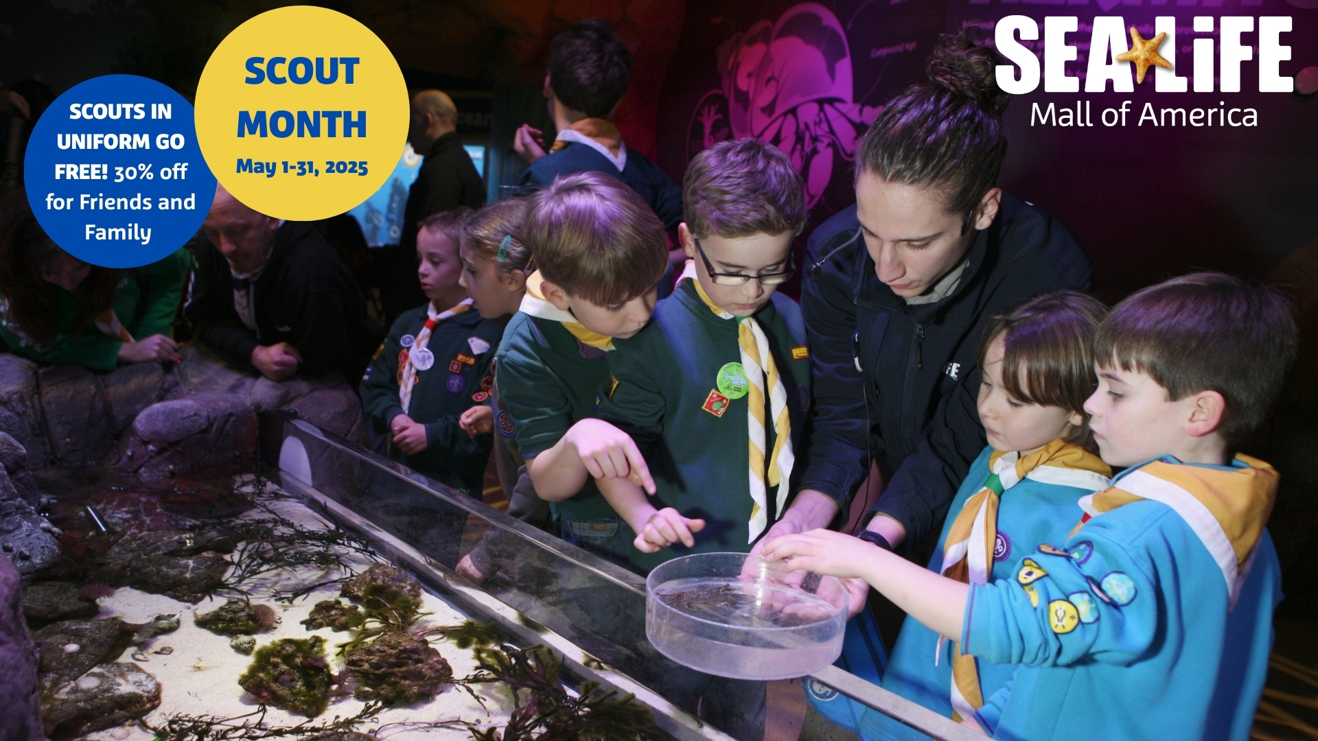Scout Appreciation Month at SEA LIFE at Mall of America!
