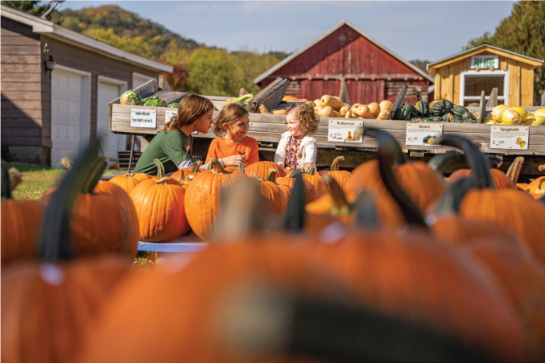Take USA’s No. 1 Scenic Drive to La Crosse