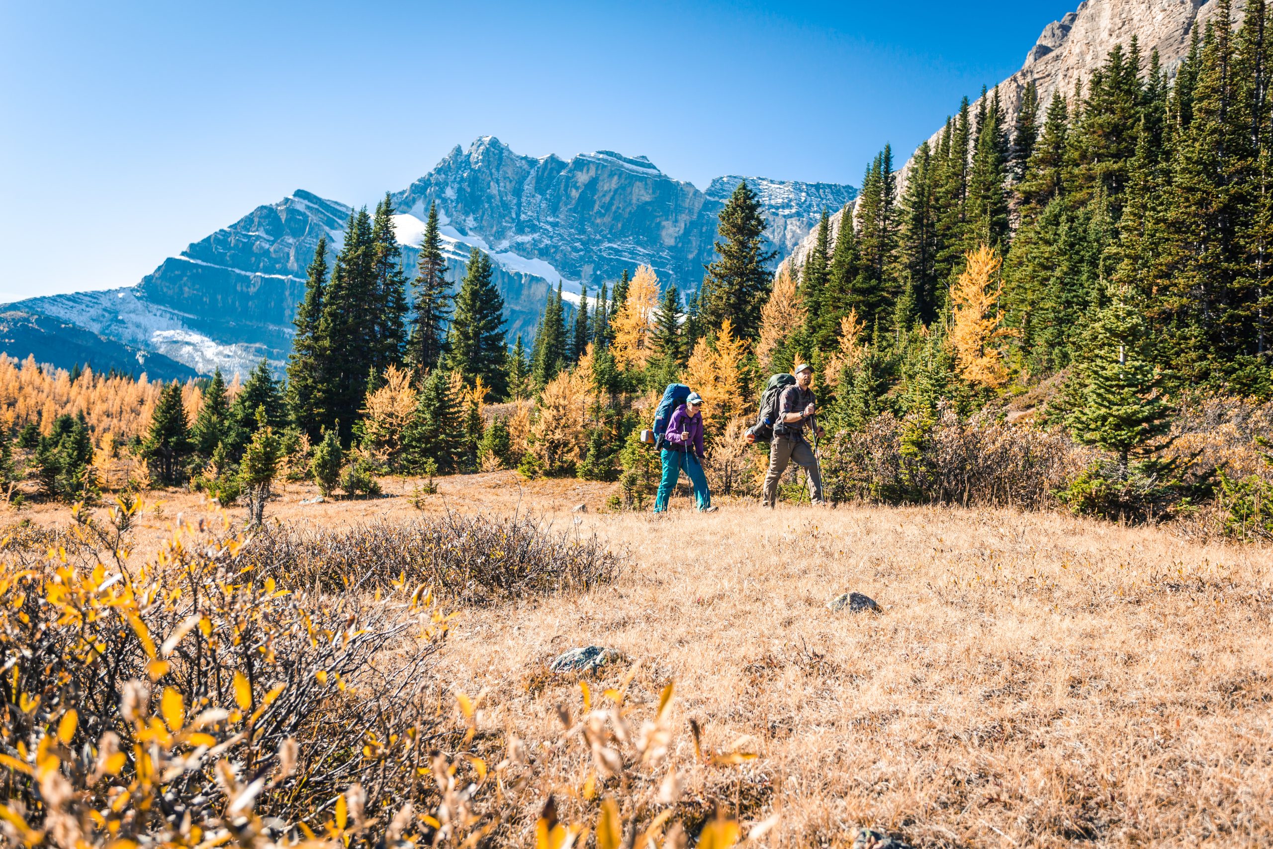 Natural Beauty in Banff