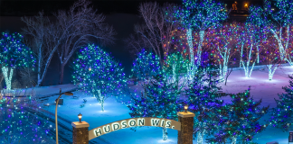 christmas lights in park