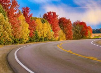 Redwood Falls Street by Ben Stoterau