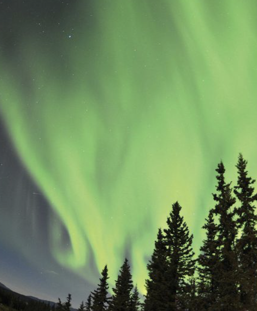 Cook County's Dark Sky Festival