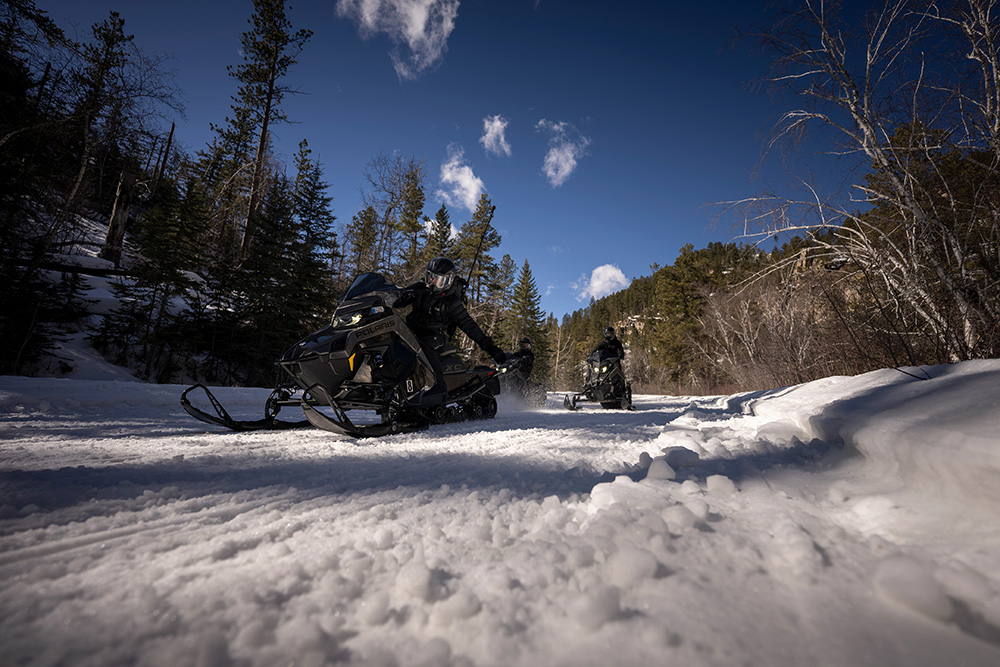 Start Your Year Wild