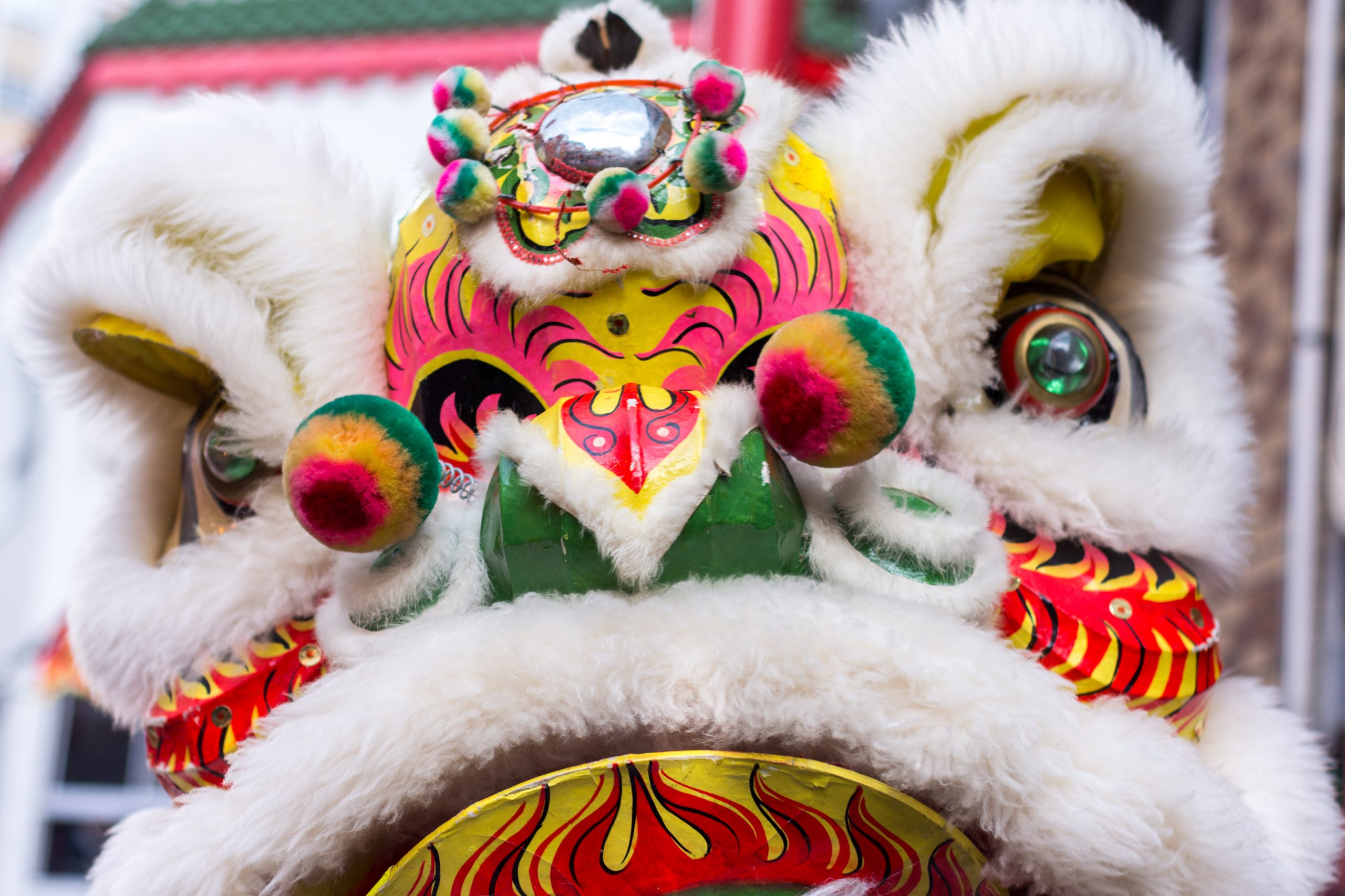 Celebrate Lunar New Year Across Minnesota