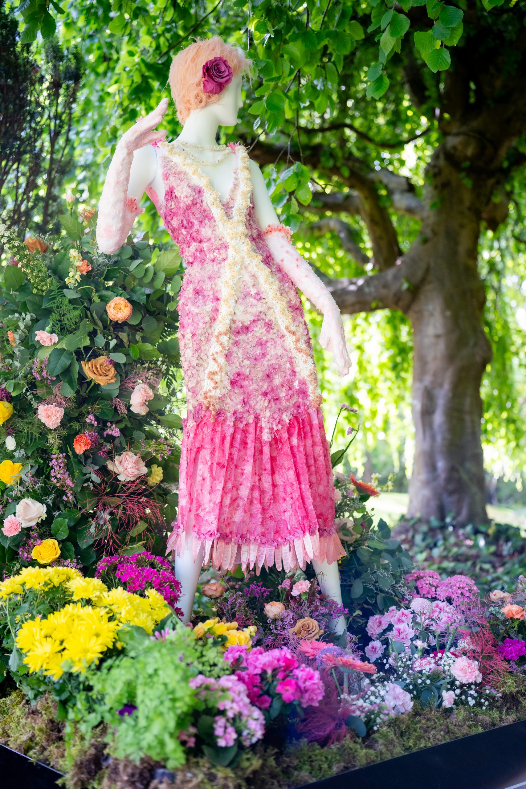  Lady Rose MacClare by Manites Flower Shop