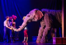 Zachary Keller, Helen Krushinski, and Ella Huestis, Water For Elephants