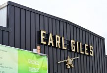 Earl-A-Whirl Returns: Art, Music, and a Little Edge in Northeast