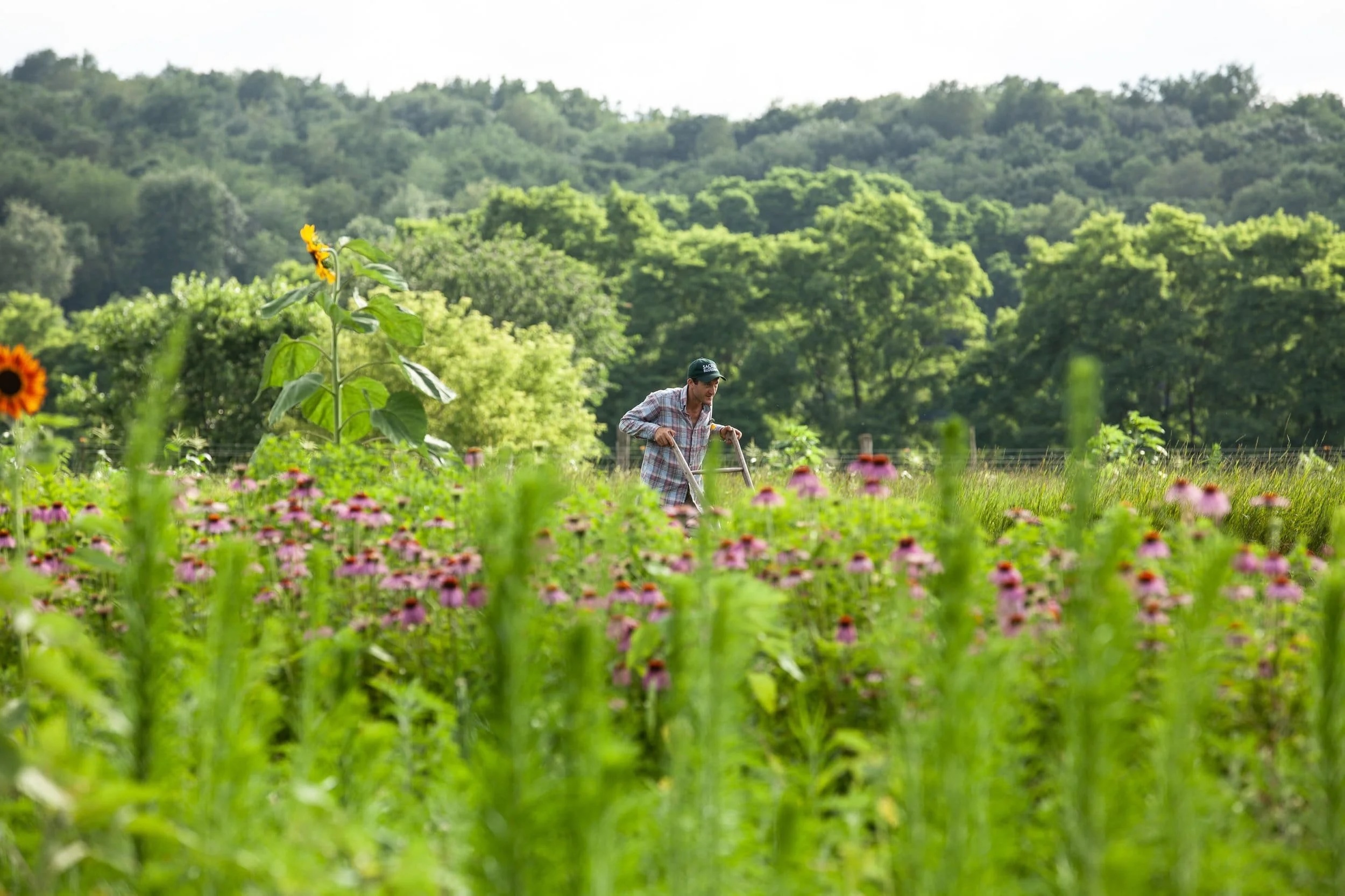 Wander Fields of Herbs at This Hidden Wisconsin Farm